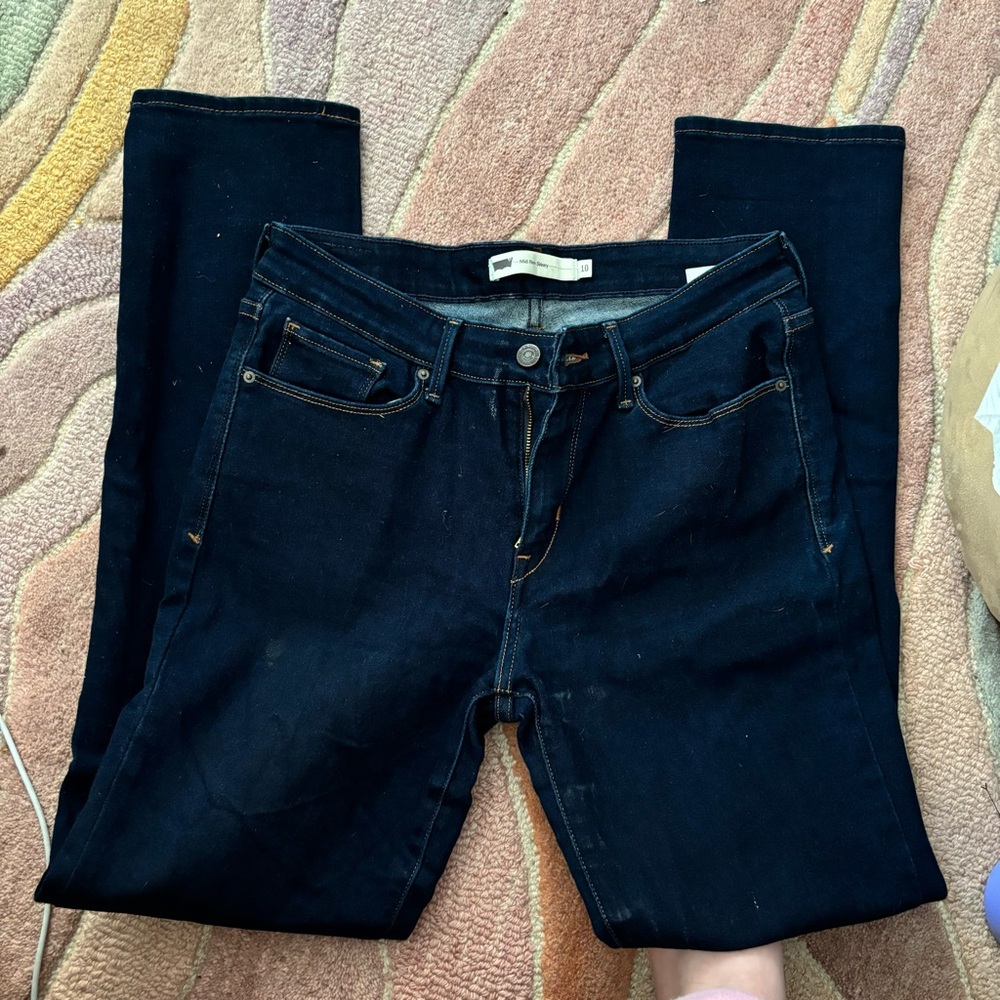Levi’s Mid-Rise Skinny Jeans (Size 10)